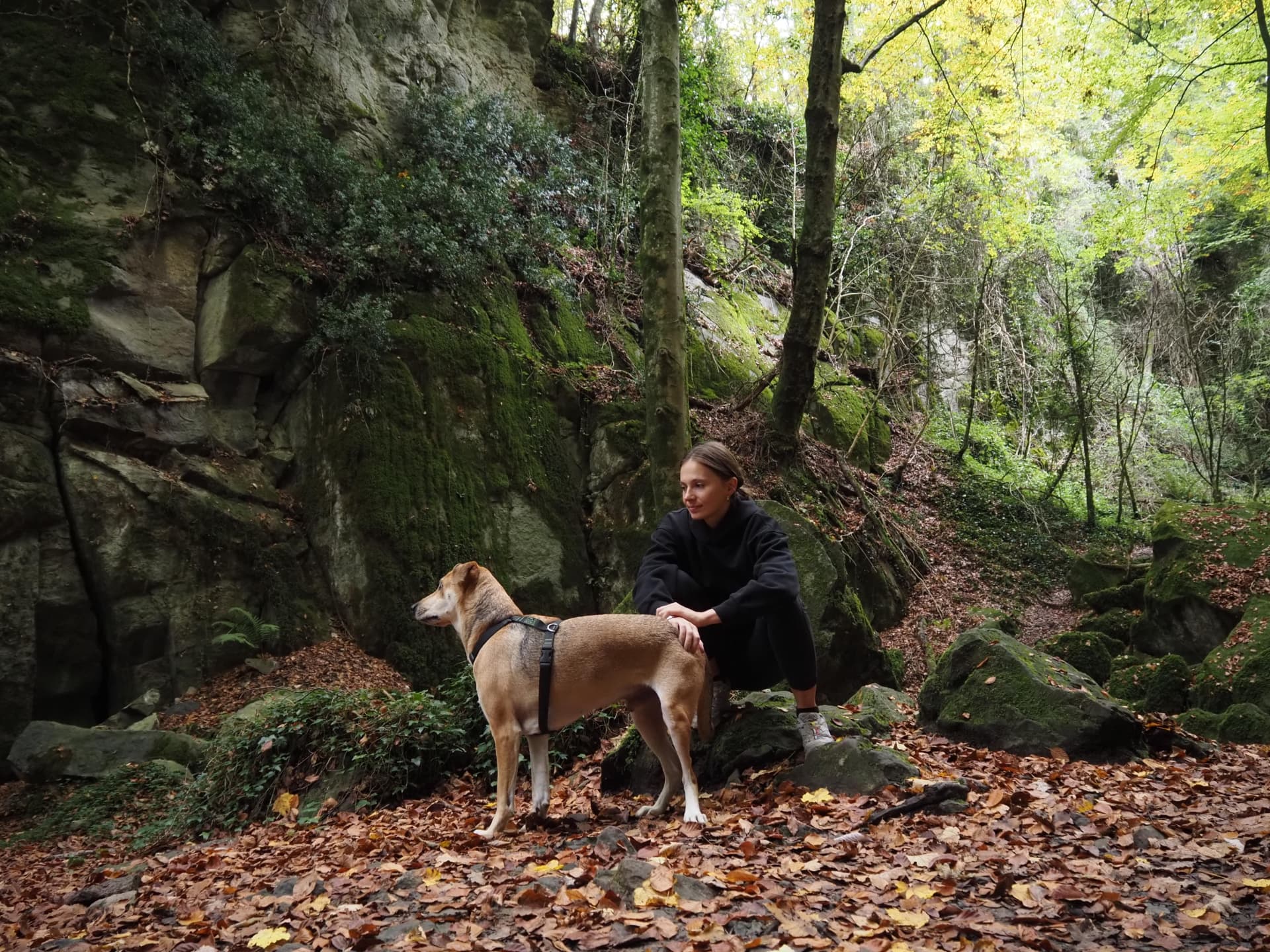 Chloë Garland walking with her dog in woodland